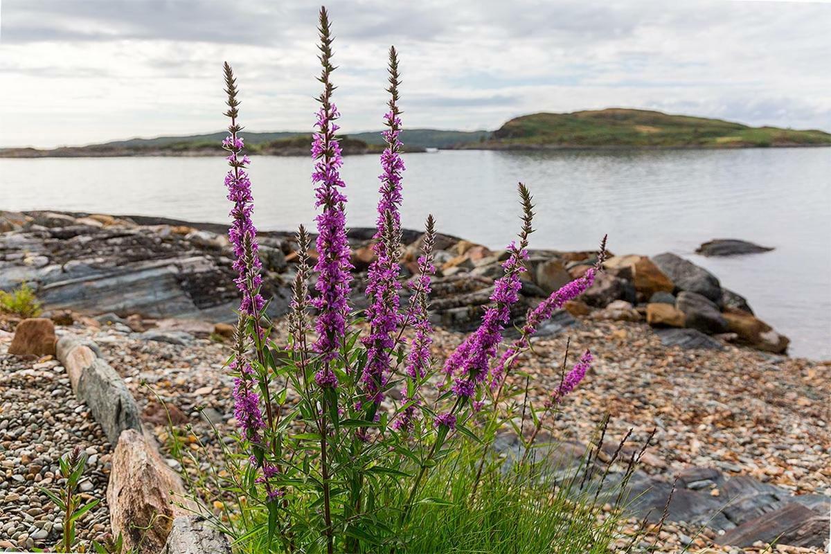 Lunga House Beach Lodges Craobh Haven Exterior foto